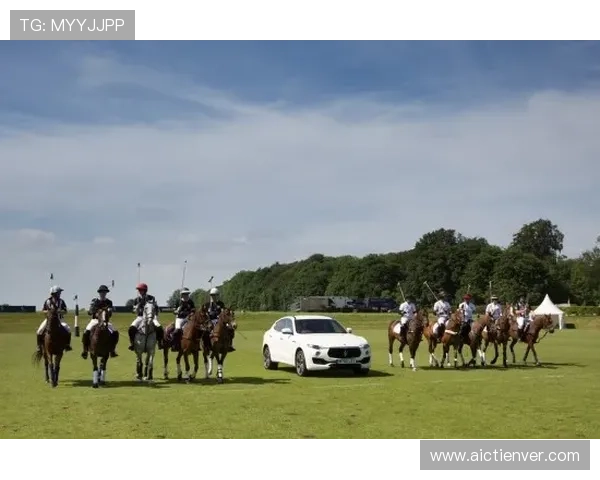 通过威廉体育官方主页掌握最新体育赛事动态和专业赛事预测的首选网站