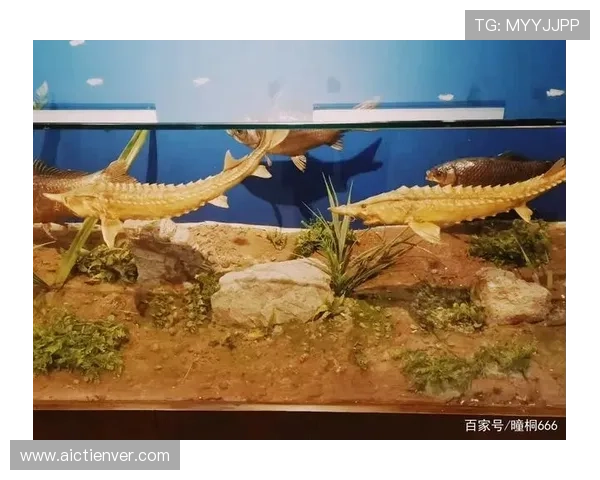 博鱼官方官网提供详细的游戏规则说明与新手指南，帮助新玩家快速上手
